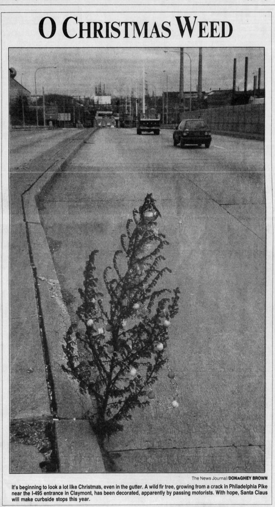 A photo of the original Claymont Christmas Weed appeared in The News Journal on Dec. 17, 1993. An enduring Delaware holiday tradition was born.