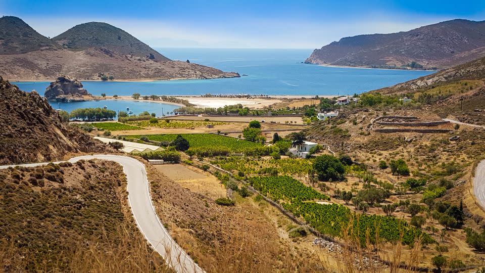 Petra beach lies beyond some of the islands' vineyards.  - John Malathronas