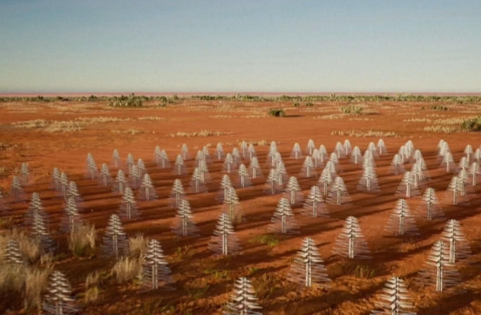 這一棵棵像聖誕樹的其實是望遠鏡天線，一共要設立13萬支。（AFP）