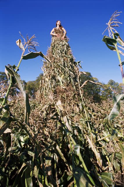 Minnesota's corn dress