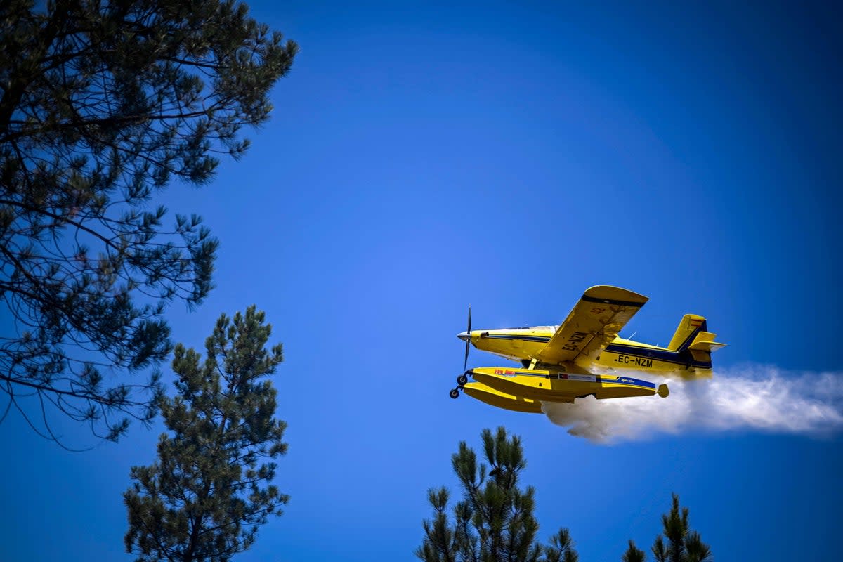 A firefighter airplane drops water in a wildfire in Carrascal, Proenca a Nova on 6 August (AFP via Getty Images)