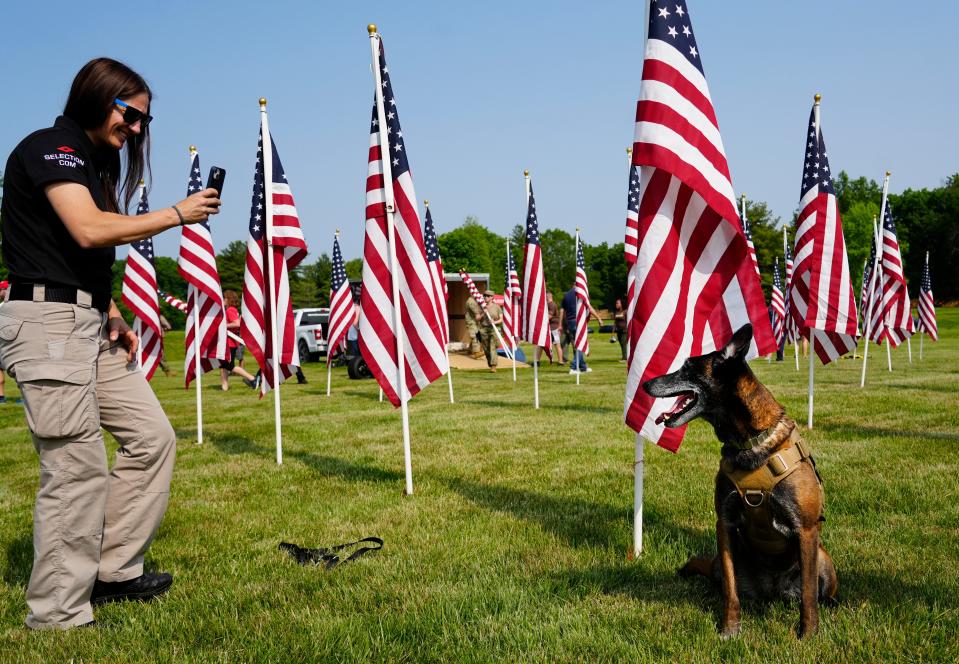 Nicole Condrey, with Team Fastrax, a professional parachute demonstration team, takes a photo of her service dog, Via, a seven-year-old Belgian Malinois. Condrey was helping with the flag install at the Arlington Memorial Gardens in Springfield Township, for the “Field of Memories”, Wednesday, May 24, 2023. Condrey has 2800 jumps and Via has 10 jumps. Via was her husband, Ron Condrey’s dog he received after suffering traumatic brain injury from explosive work in the US Navy. He was a 25-year-veteran before he died by suicide in 2018. The flags cover 10 acres and include names of individuals, both in the military and first responders. The money raised from the sale of the flags goes to ‘Operation Ramp It Up’, a non-profit that installs mobility ramps for veterans. There are activities to honor these men and women throughout the Memorial Day Weekend. Check www.amgardens.org for the full schedule. 