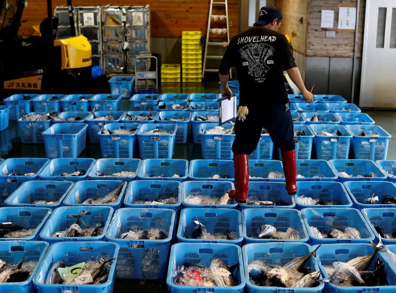 The Wider Image: Fatty 'katsuo' fish may foreshadow climate change, threat to Japan's sushi