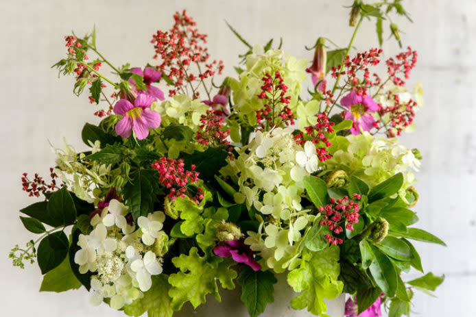 This border has a secret: all blooms can be cut for bouquets