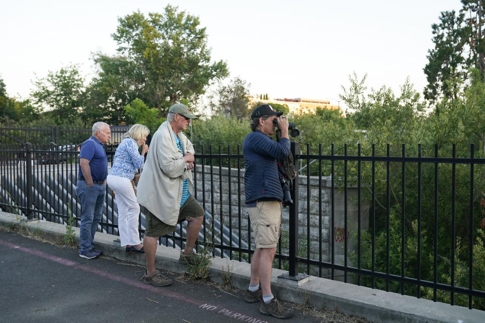 Rusty Cohn, third from left, and Brock Dolman, right, watch beavers swim in Napa Creek, Wednesday, July 19, 2023, in Napa, Calif. (AP Photo/Godofredo A. Vásquez)