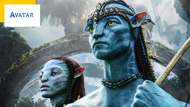 Avatar Movie Popularity  - Với sự ra đời của loạt phim Avatar, đại diện trực tuyến của bản thân với các avatar được tạo ra ngày một tăng lên. Avatar không chỉ giúp bạn tương tác với cộng đồng người hâm mộ, đồng thời còn trở thành một cách thể hiện sự đam mê của bạn về thể loại phim siêu nhiên. Khám phá cùng những avatar lấy cảm hứng từ loạt phim Avatar và tham gia vào cộng đồng fan cực kì đam mê này nhé!