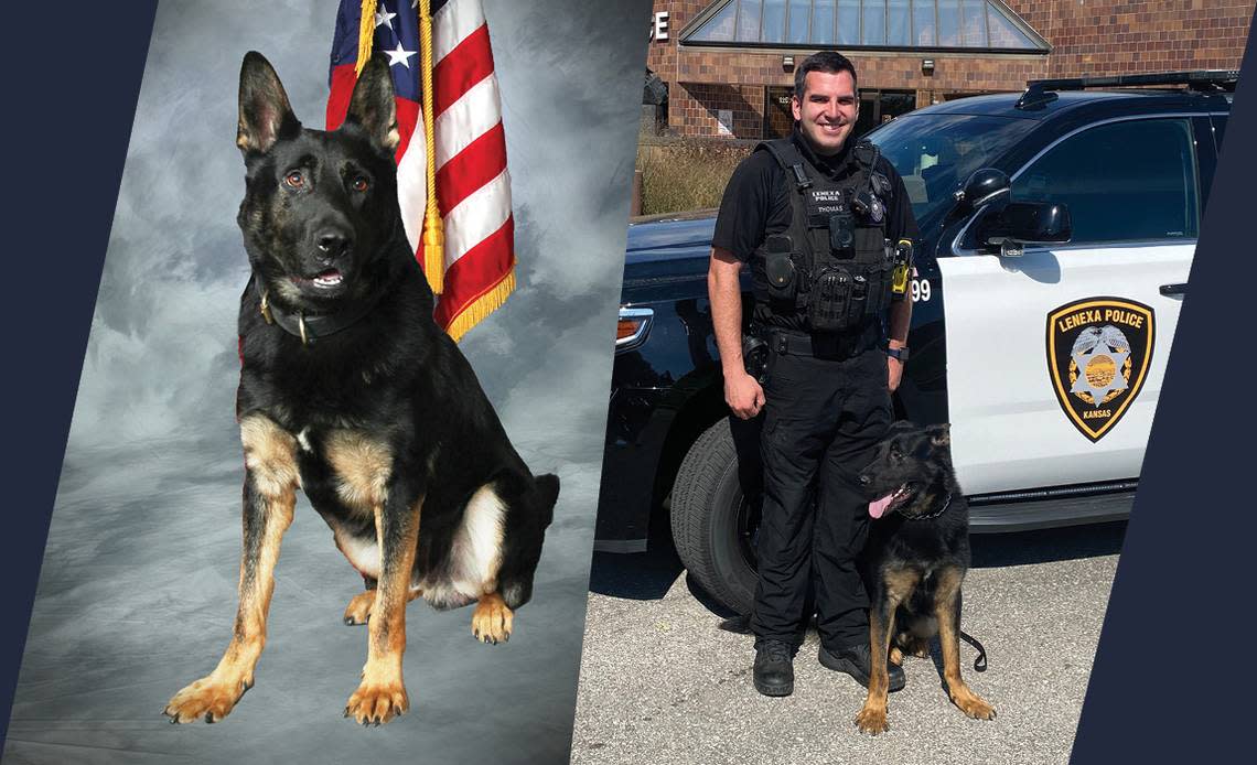 K-9 Bruno and his handler, Master Police Officer Brian Thomas, completed their training in September.