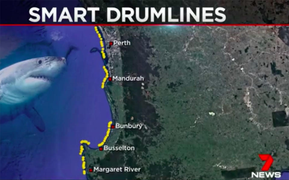 The federal government wants install 176 smart drum lines from Quinns Rock to Prevelly Beach. Source: 7 News