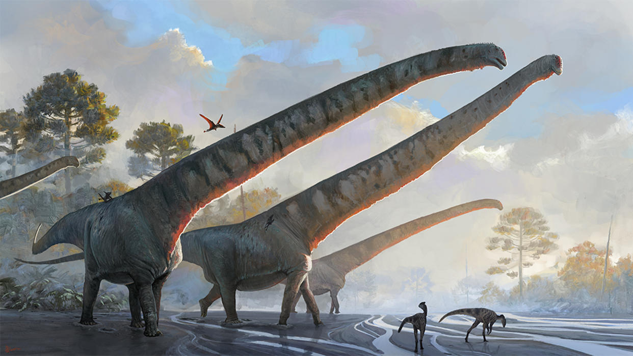 An illustration of the sauropod Mamenchisaurus sinocanadorum, which had a 49.5-foot-long (15.1 meters) neck, about 10 feet longer than a regular school bus. 