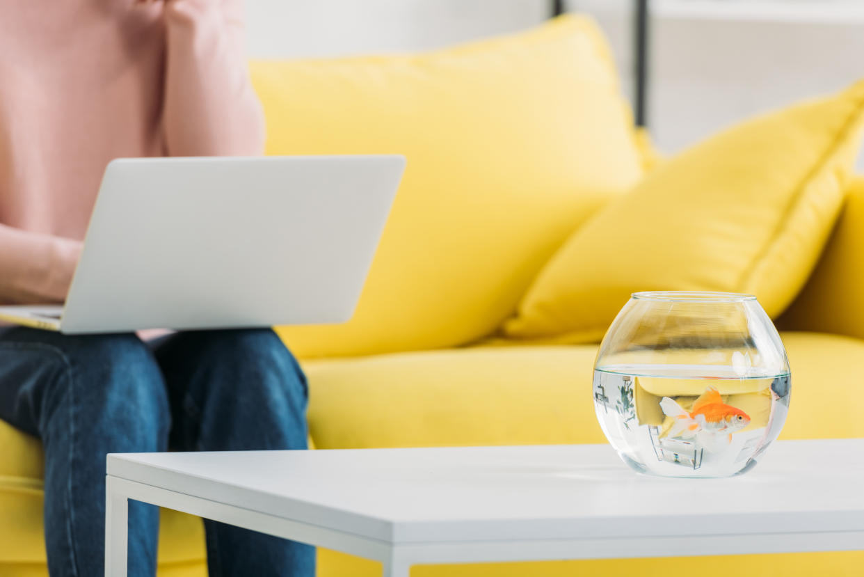 partial view of woman using laptop while sitting on sofa near table with fish bowl