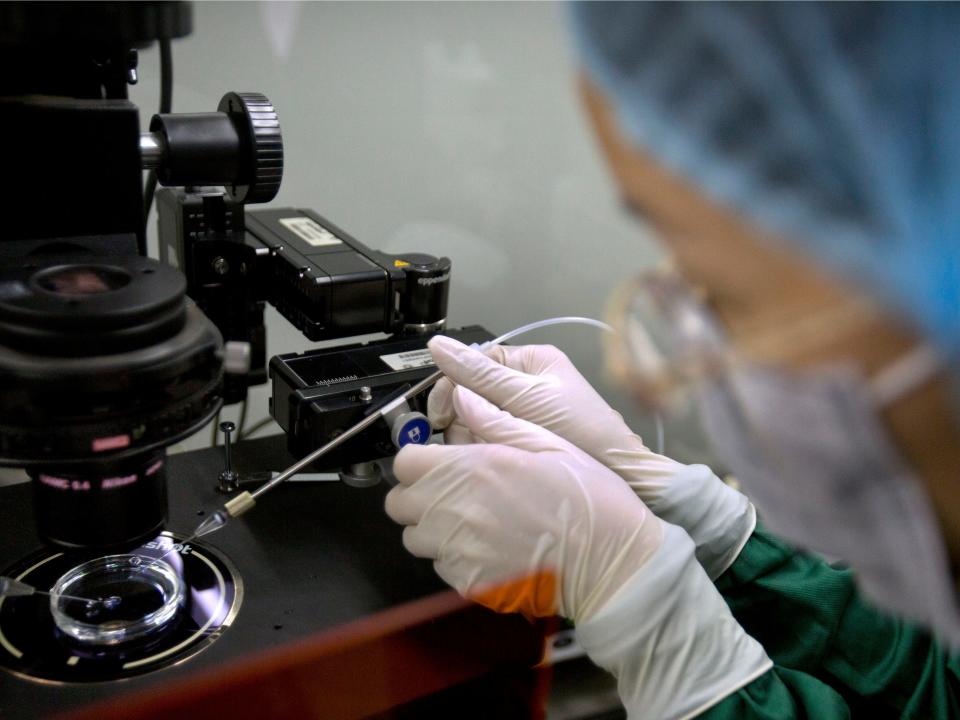 FILE - In this Oct. 9, 2018 file photo, a researcher installs a fine glass pipette into a microscope in preparation for injecting embryos with Cas9 protein and PCSK9 sgRNA at a lab in Shenzhen in southern China's Guandong province. On Tuesday, March 19, 2019, an expert committee convened by the World Health Organization is calling for the U.N. health agency to create a global registry of scientists working on gene editing. (AP Photo/Mark Schiefelbein, File)