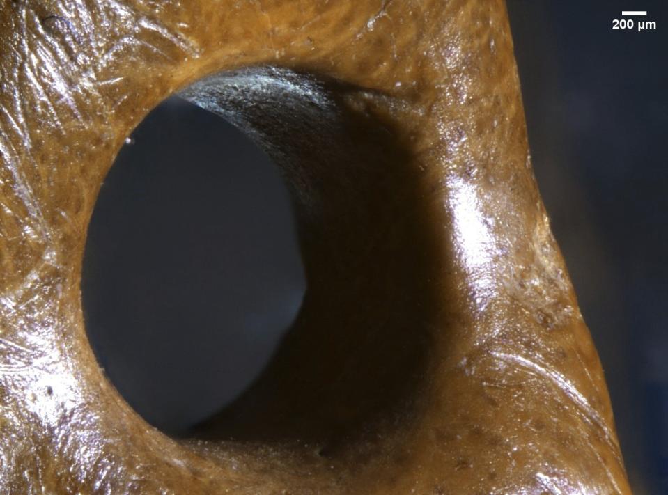 This image provided by researchers shows a closeup of a teardrop-shaped artifact, presumed to be a pendant, made of bony material from a giant sloth discovered at a rock shelter in Brazil, recovered from archaeological layers dated to 25,000 to 27,000 years ago. Research published Wednesday, July 12, 2023, in Britain's Proceedings of the Royal Society B journal, suggests humans lived in South America at the same time as now-extinct giant sloths, bolstering evidence that people arrived in the Americas earlier than once thought. (Thais Rabito Pansani via AP)