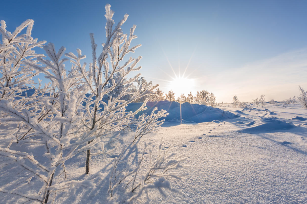 A white wintry scene to represent winter solstice. (Getty Images)