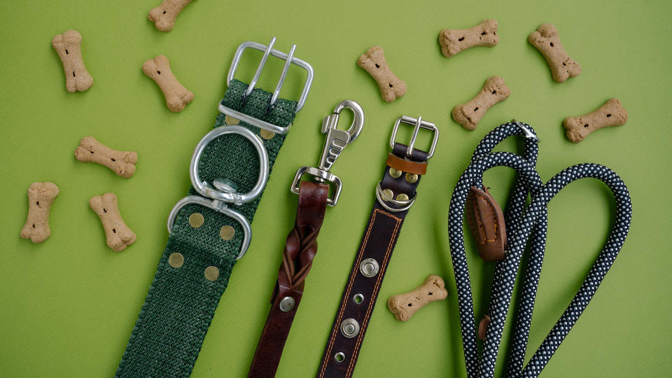 Selection of leashes