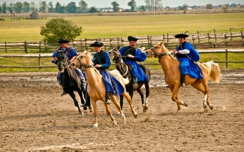 Magyar cowboys riding horses near Kalocsa in Hungary - Credit: Getty