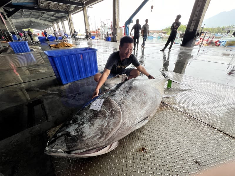 東海岸第一尾黑鮪魚進港  船長鄭正愛連3年頭香 東海岸2024年第一尾黑鮪魚進港，秤重229公斤，船 長鄭正愛連續3年拔頭籌捕獲首尾黑鮪魚。 中央社記者盧太城台東攝  113年4月19日 