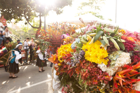 The city's annual flower festival - Credit: getty