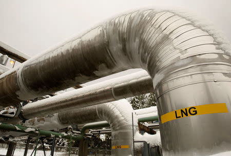 FILE PHOTO - Snow covered transfer lines are seen at the Dominion Cove Point Liquefied Natural Gas (LNG) terminal in Lusby, Maryland March 18, 2014. REUTERS/Gary Cameron/File Photo