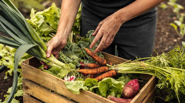 hands putting produce in a basket