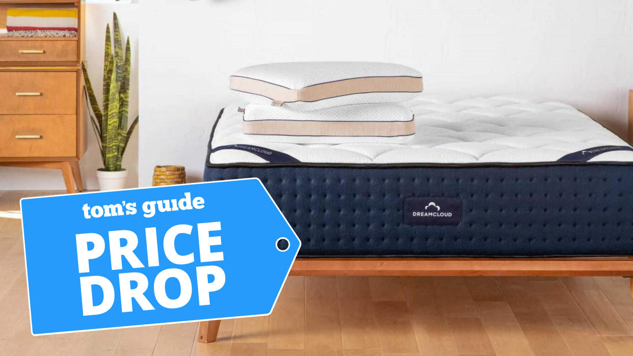  Image shows the DreamCloud mattress placed on a light wooden bed frame next to a green house plant 