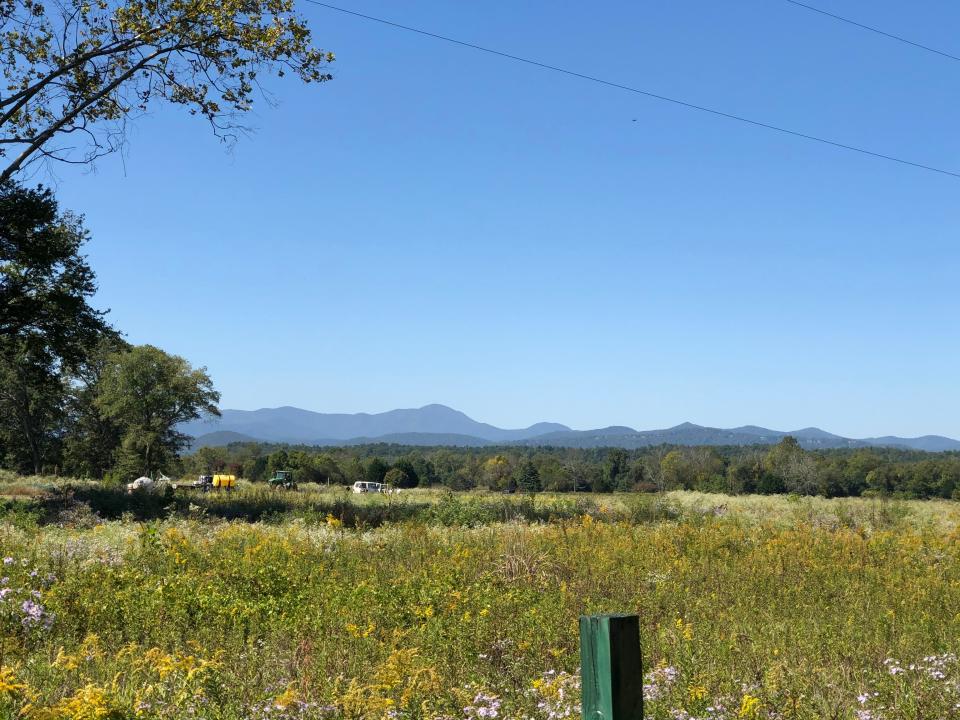 A view of Plumlea Farm in Fletcher.