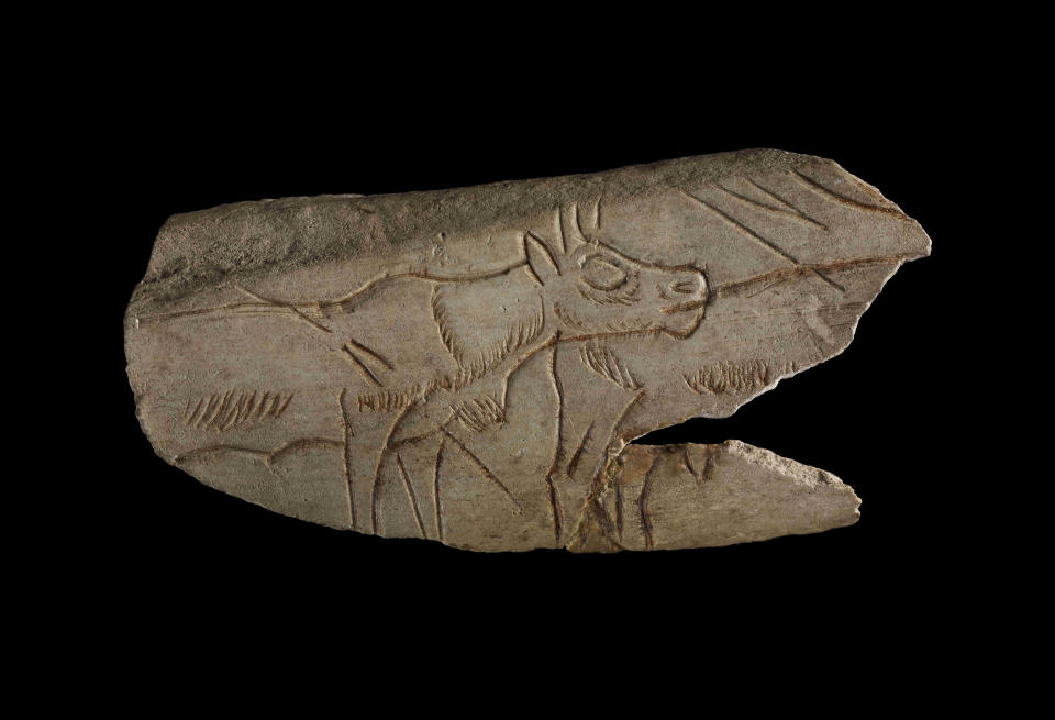 A fragment of decorated reindeer bone has two reindeer engraved on the surface with two reindeer, one of which is now incomplete; Palaeolithic age which ended 10,000 years ago (The Trustees of the British Museum)