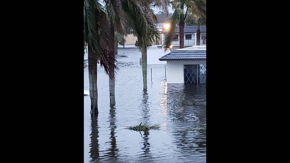 Palm trees in Kissimmee are swamped by rainwater in the wake of Ian, a day after hurricane-force winds ravaged southwest Florida