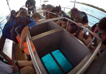 Tourists look through a glass window in the bottom of a boat as it floats above an area called the 'Coral Gardens' located at Lady Elliot Island, north-east of the town of Bundaberg in Queensland, Australia, June 10, 2015. REUTERS/David Gray