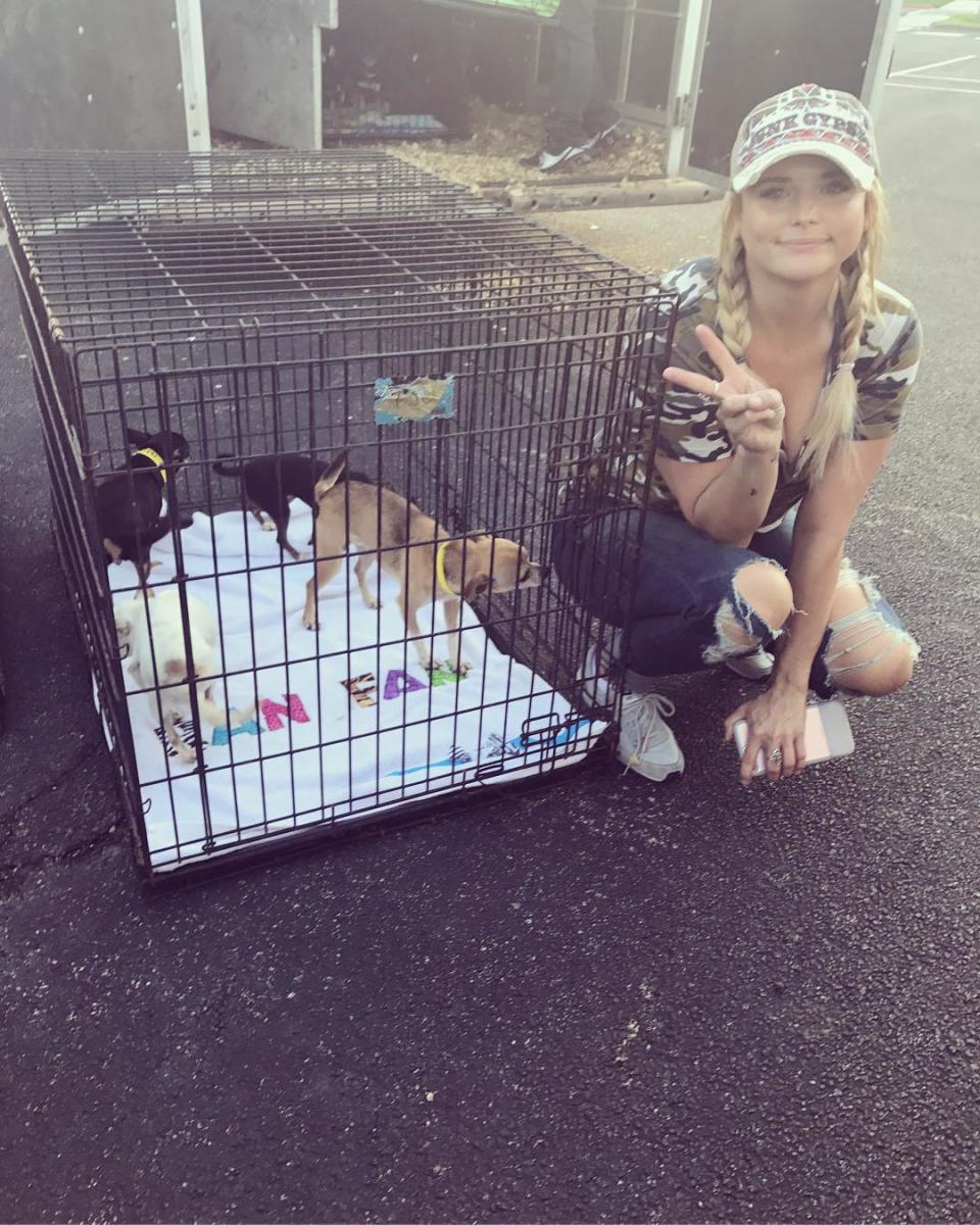 Miranda con sus nuevos amigos. Instagram @muttnationfoundation