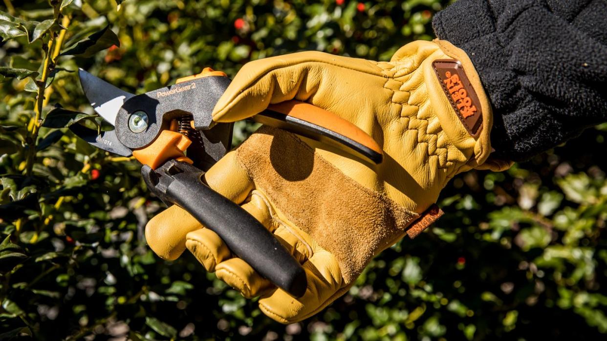 a person holding pruners