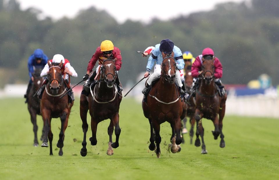 Spycatcher (blue) has twice been a runner-up at York