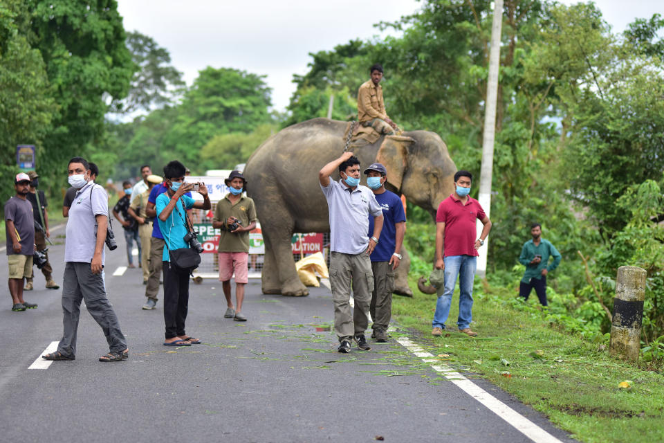 KAZIRANGA, INDIA - JULY 18, 2020: Forest official stand guard on NH-37 after a a rhino rests near NH 37 after straying out from flood-affected Kaziranga National Park, in Nagaon district of Assam ,India - PHOTOGRAPH BY Anuwar Ali Hazarika / Barcroft Studios / Future Publishing (Photo credit should read Anuwar Ali Hazarika/Barcroft Media via Getty Images)