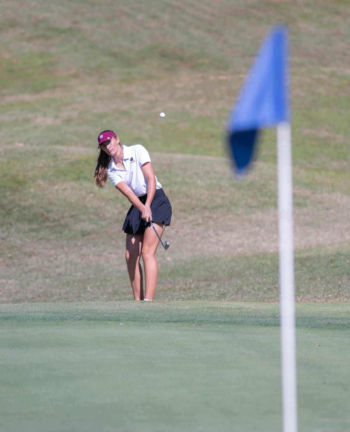 Which area golfers are headed to the state tournament?