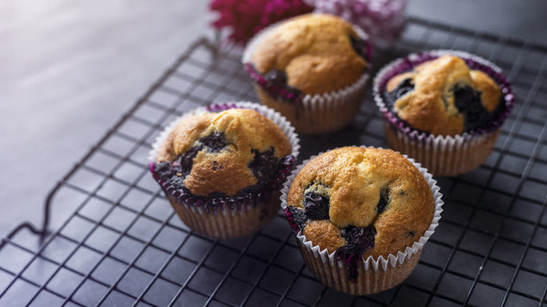 Blueberry muffin on tray