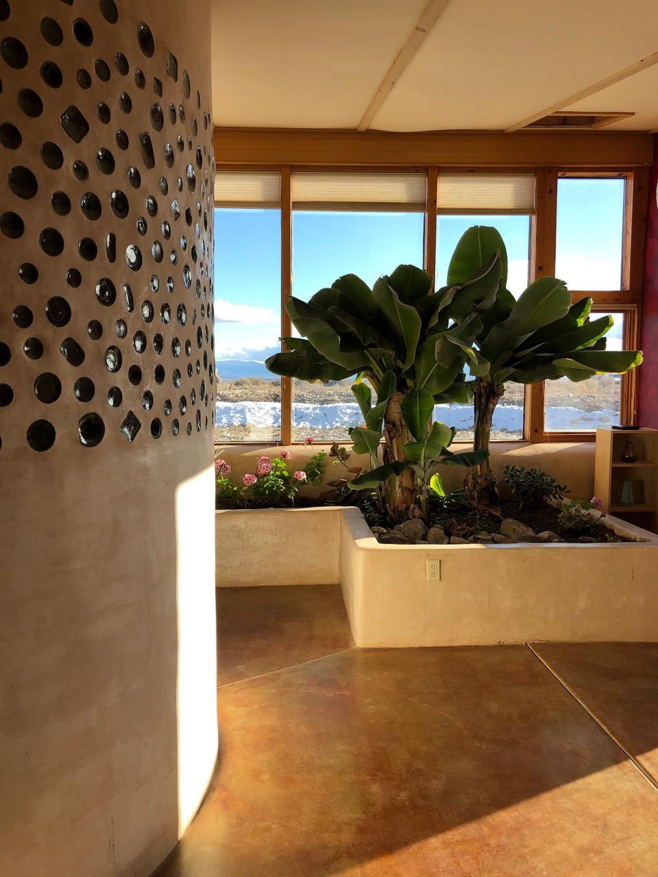 View from my bed. All those plants are cleaning the water to be directed in the toilet. The water in this kind of house is reused 4 times. A beautiful house where everything is clever and useful.