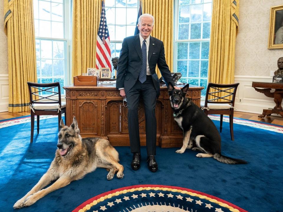 Joe Biden in Oval Office with Champ and Major