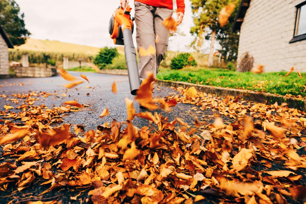 Woman using a leaf blower in the autumn to clear her driveway.