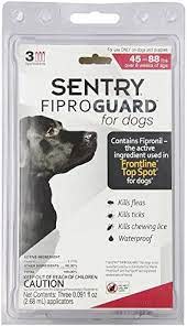 SENTRY Fiproguard for Dogs, Flea and Tick Prevention for Dogs (1)