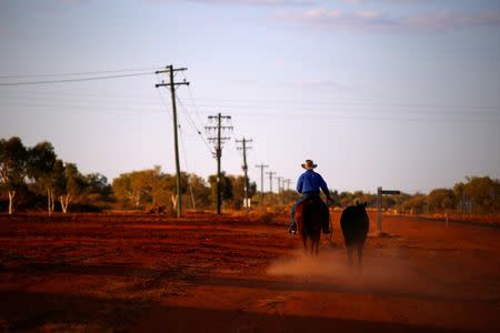 A stockman rides his horse as he leads another down a road towards the cattle yards in the outback town of Windorah, Queensland, located south of Stonehenge, in Australia, August 11, 2017. REUTERS/David Gray