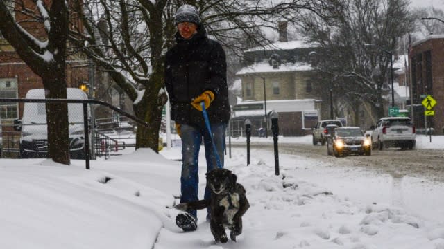 A man walks his dog down Main Street in Brattleboro, Vt.