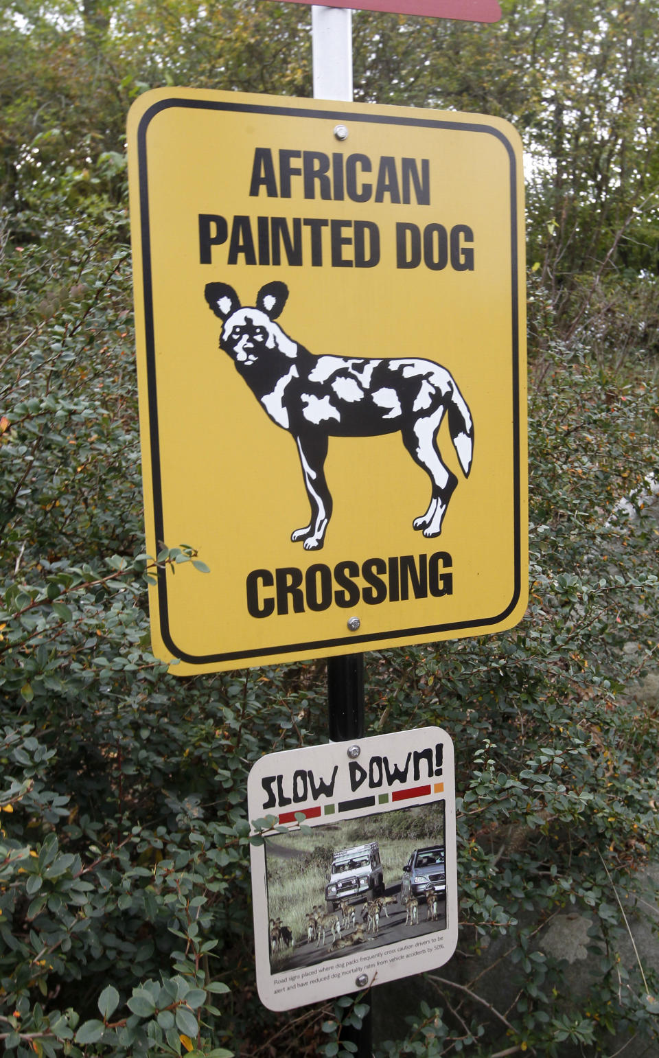 A sign to inform visitors about African Painted Dogs is seen near an observation area during a press tour near the overlook platform where a boy fell into the exhibit that was home to a pack of African painted dogs at the Pittsburgh Zoo and PPG Aquarium on Monday, Nov. 5, 2012, in Pittsburgh. Zoo officials said a young boy was killed after he fell into the exhibit and the dogs mauled him on Sunday, Nov. 4, 2012. (AP Photo/Keith Srakocic)