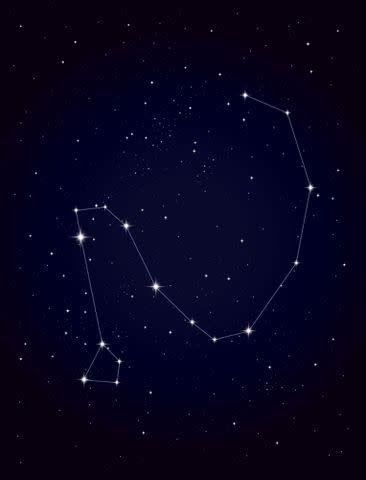 Getty Draco the Dragon constellation