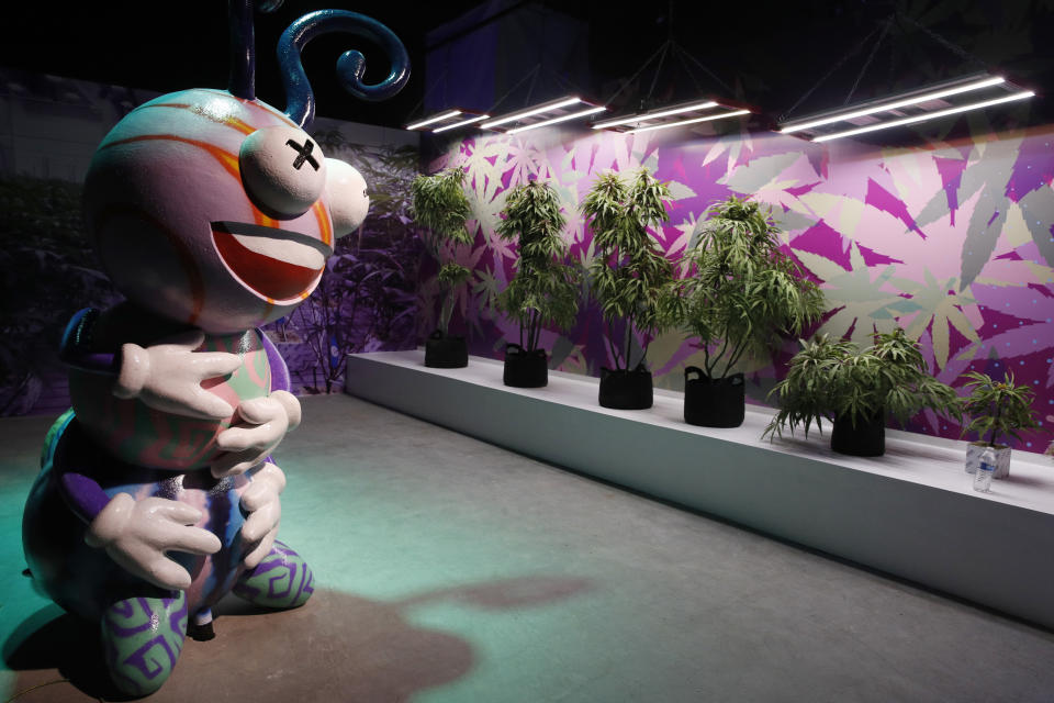 En esta fotografía del 18 de septiembre de 2018, plantas falsas de marihuana son exhibidas en el museo del cannabis Cannabation en Las Vegas. (AP Foto/John Locher)