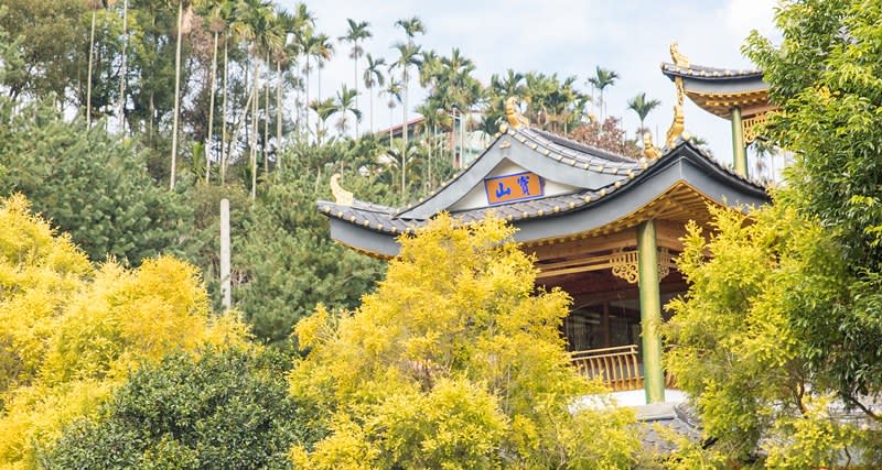 嘉義梅山｜太興龍王金殿、雲山別院