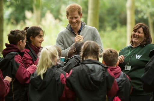 Prince Harry has become known for his charity work