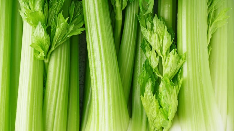 Celery stalks