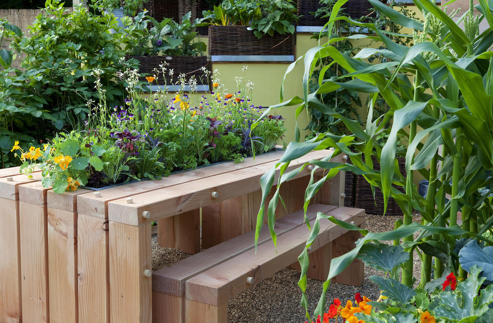 PLANT SALADS AND HERBS IN THE CENTER OF A TABLE