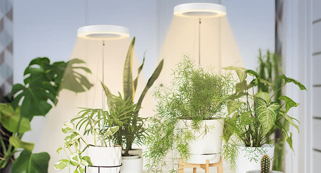 Stylisch, simpel in der Bedienung und dank flexiblen Einstellungen für jede Pflanze geeignet: die Sondiko-Pflanzenlampe. (Bild: Amazon)