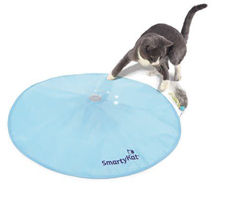 3) Concealed Motion Cat Toy