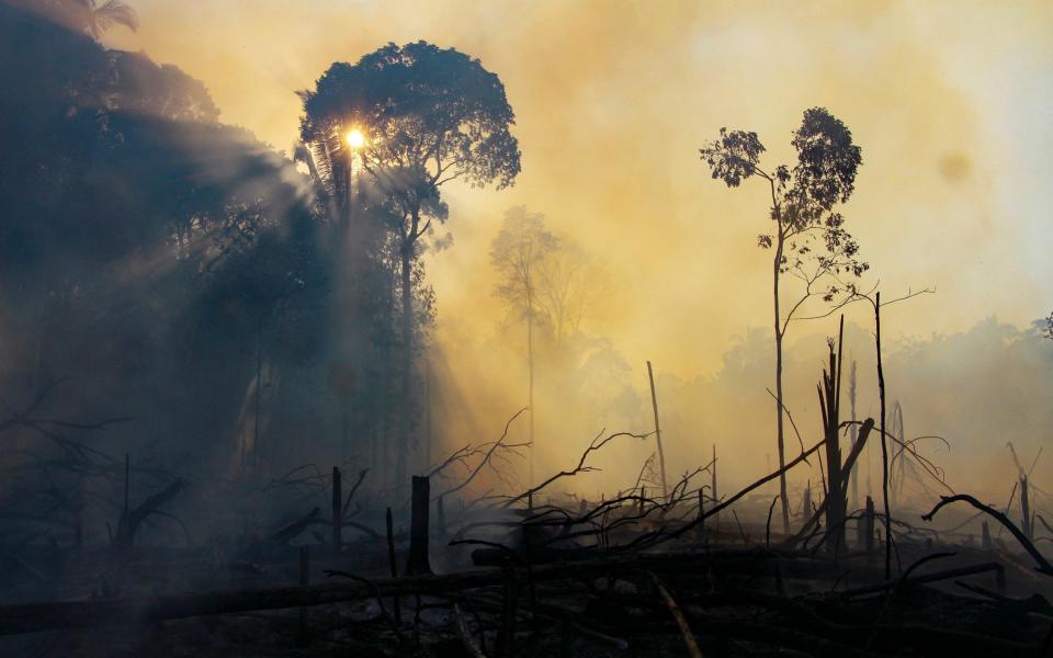 Clouds of smoke in an area consumed by fires near Labrea, Amazonas state in August 2020 - Edmar Barros /AP